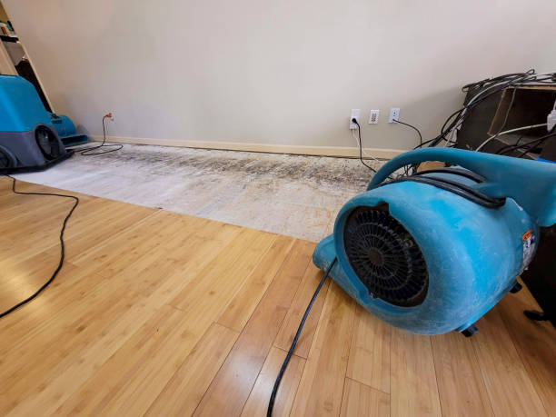 Professional Sewage Cleanup technician working in New Smyrna Beach, FL